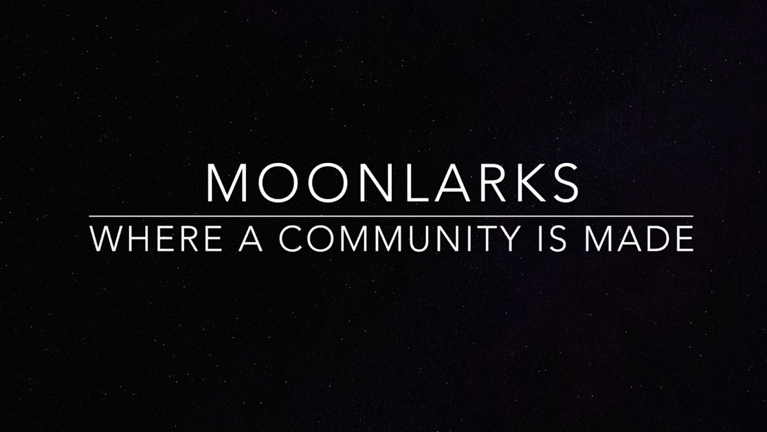 What Is Moonlarks?